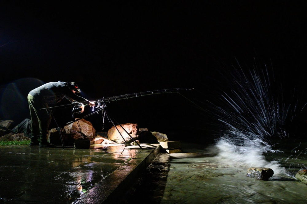 Kihirdették a 40. Magyar Sajtófotó Pályázat díjazottjait
