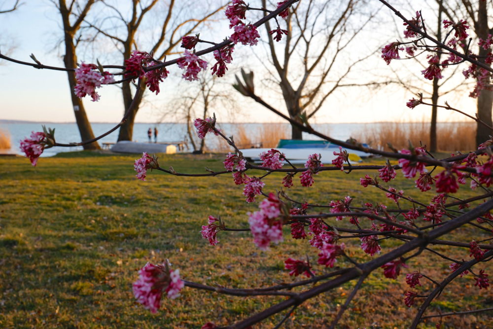 Tavaszias időjárás Zalában