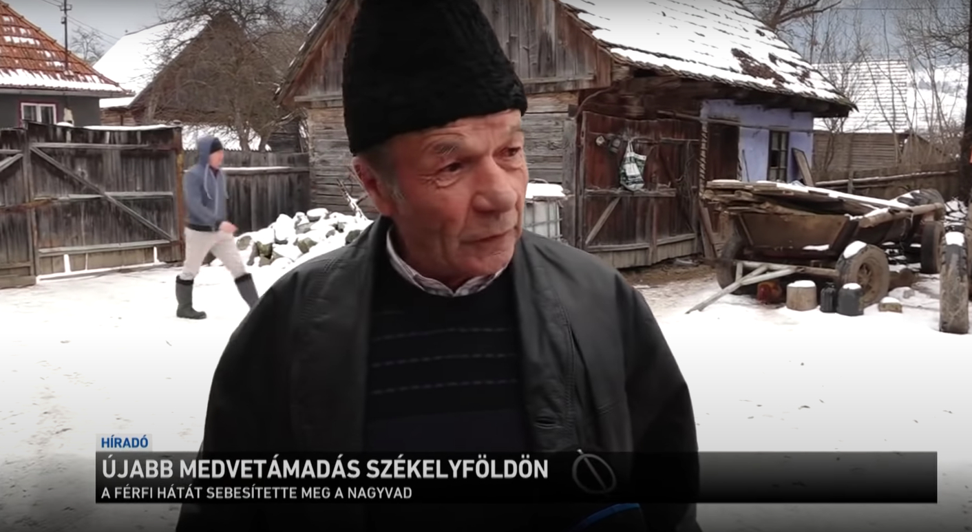 Szomszédja mentette meg a 69 éves férfit a 350 kilós medvétől