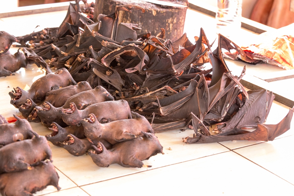 Az EU globális megállapodást sürget a kisállatpiacok betiltásáról