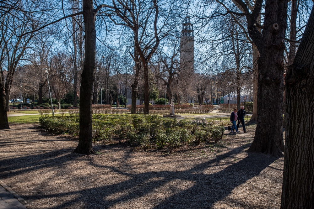 Tizennégy tájépítész pályázott a Városmajor megújítására