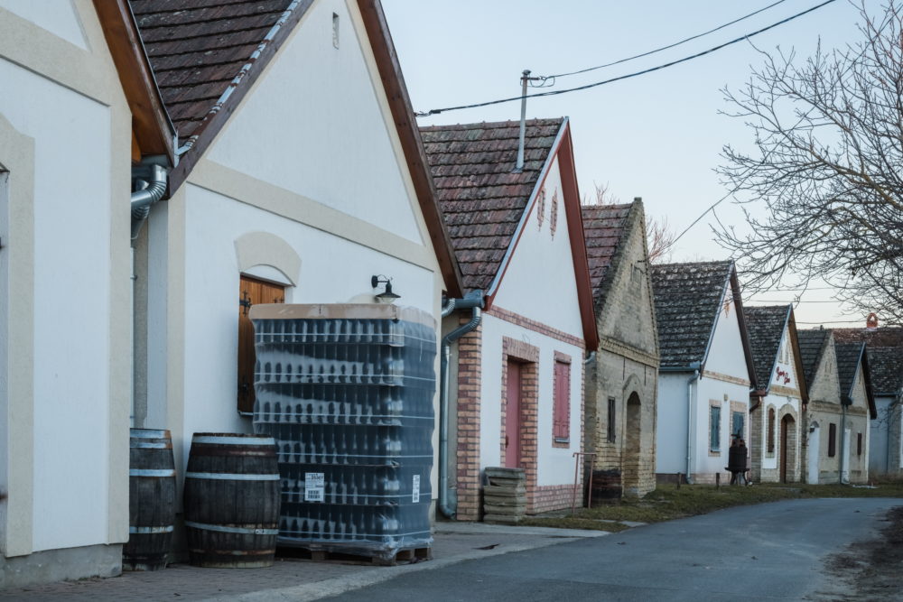 A modernizálás a feltétele a szőlő- és borágazat fejlődésének