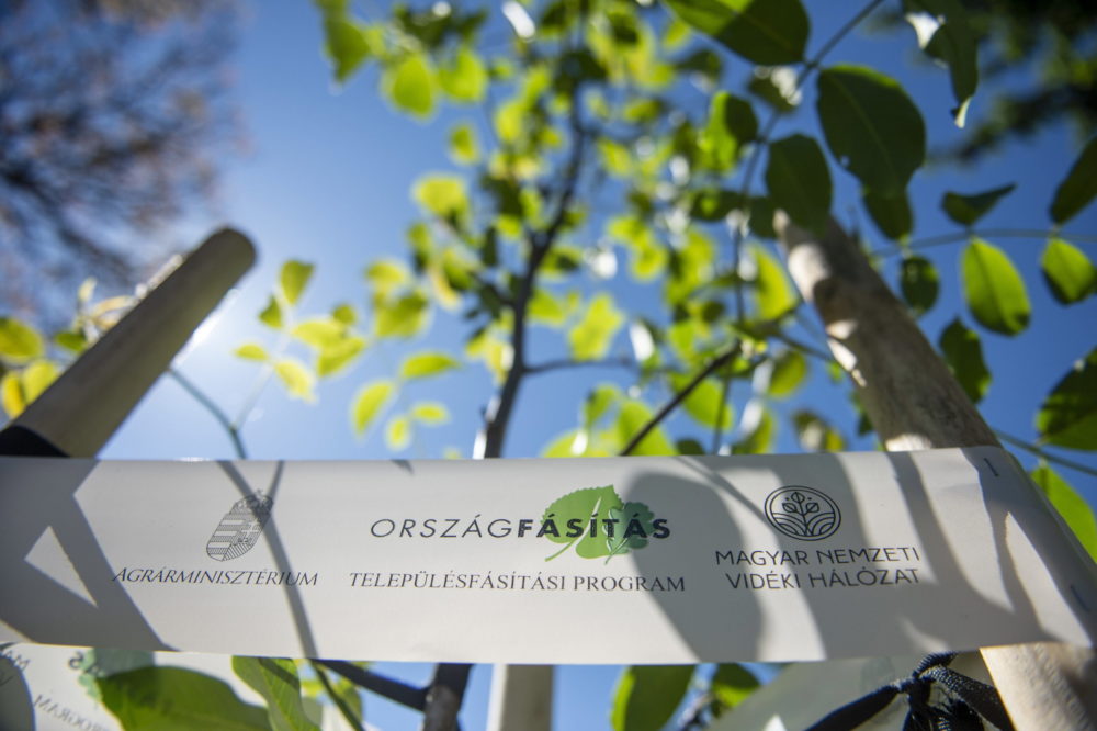 Agrárminisztérium: Zöld jövőt és megújulást jelentenek a fák