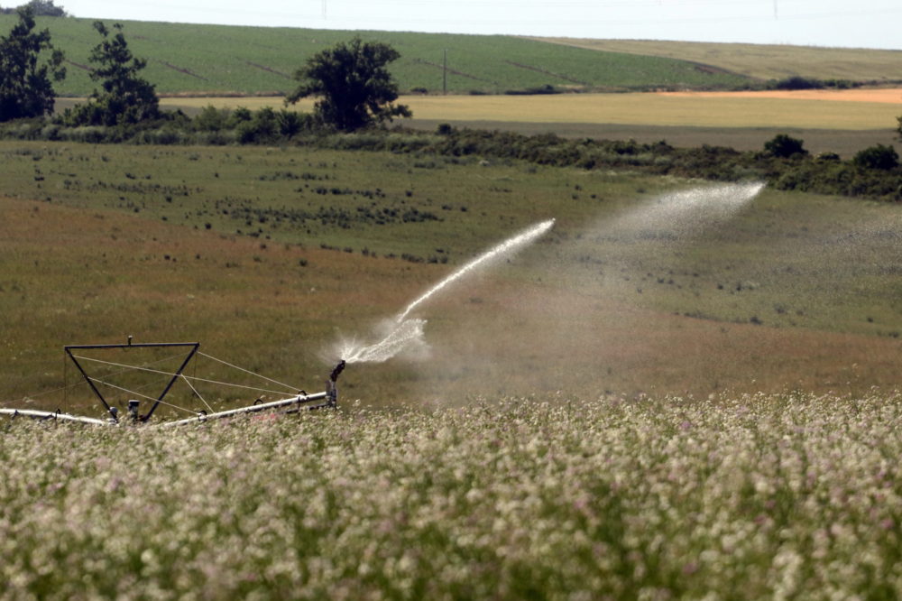 Kihirdették a tartósan vízhiányos időszakot