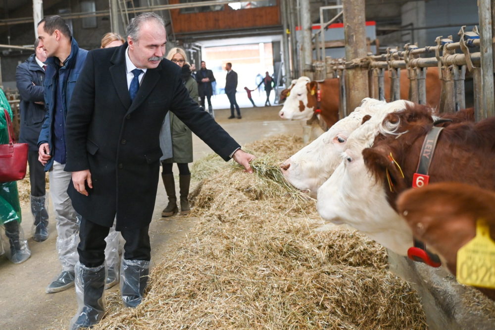 Újra pályázható az állattartó telepek fejlesztését támogató felhívás