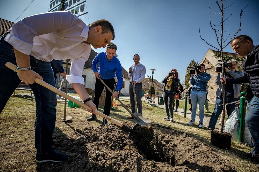 A klímavédelem fák elültetésével kezdődik
