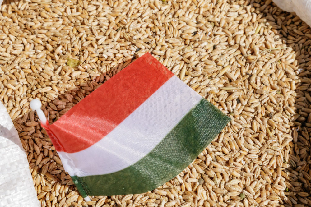 Már pénteken elindul a Nemzeti Múzeum 1956-ra emlékező programsorozata