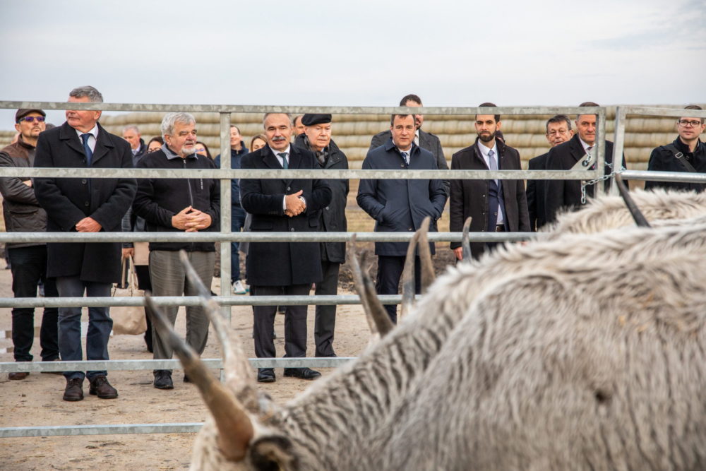 Az állattartás hatékonyságát is növeli az állatjóléti feltételek javítása