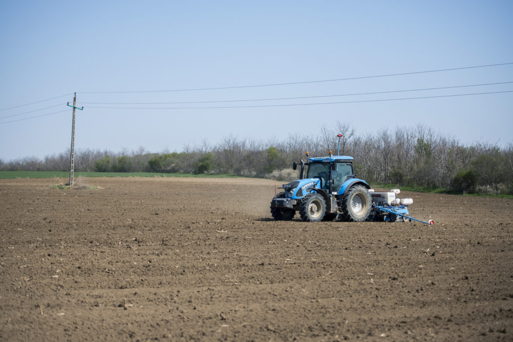 Agrárminisztérium: Elindultak a határszemle ellenőrzések