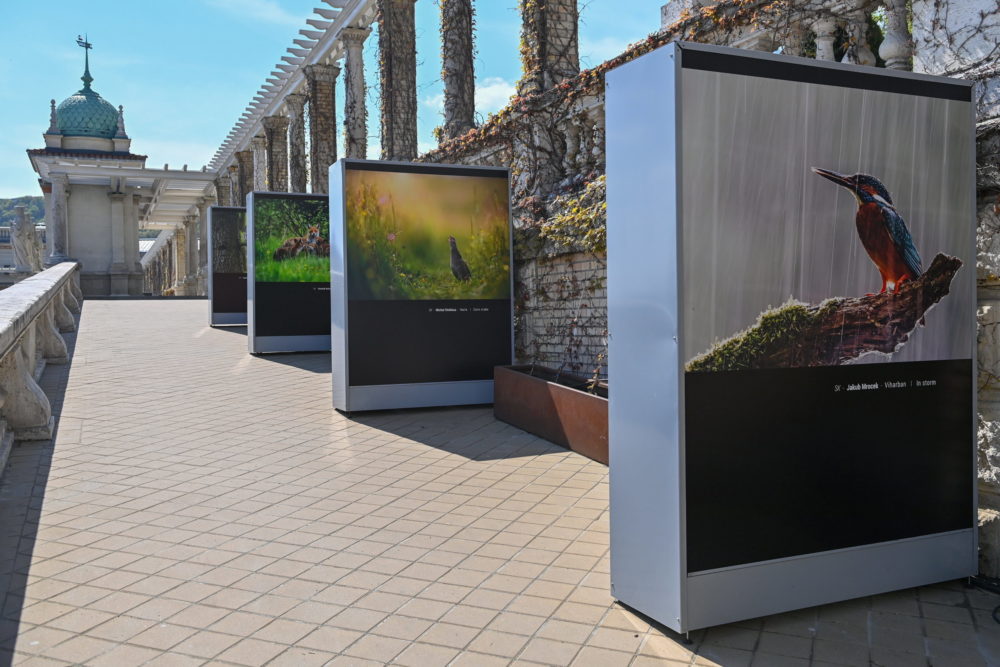 A V4-országok természeti csodáit bemutató fotókiállítás nyílt a Várkert Bazárban