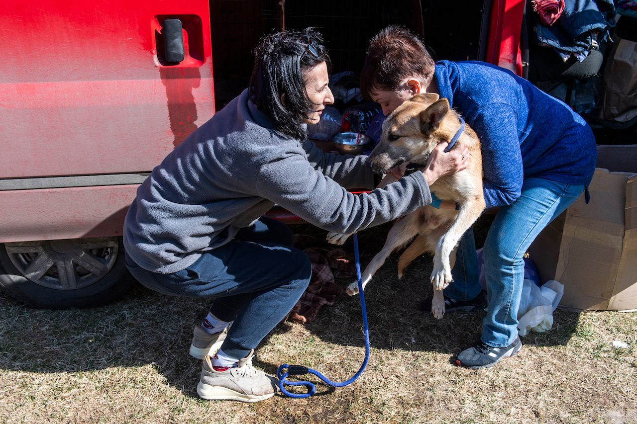 Őket sem kíméli a golyó