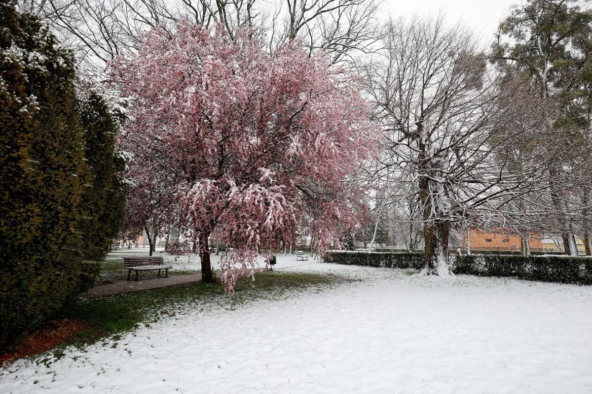 Havazás és szavazás