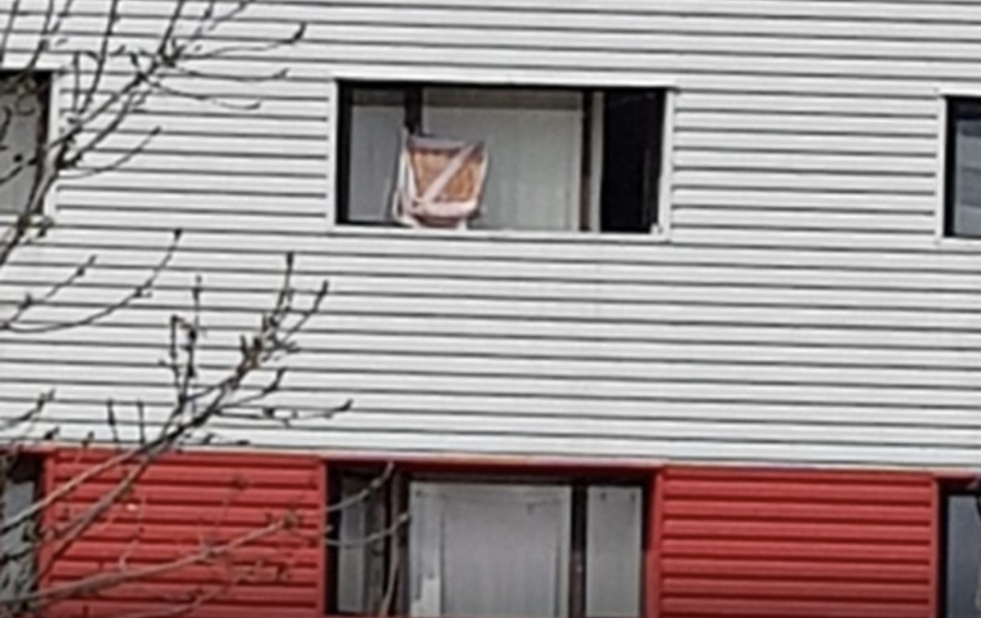 Orosz háborúpárti „Z” szimbólumnak néztek egy lovacskás törölközőt