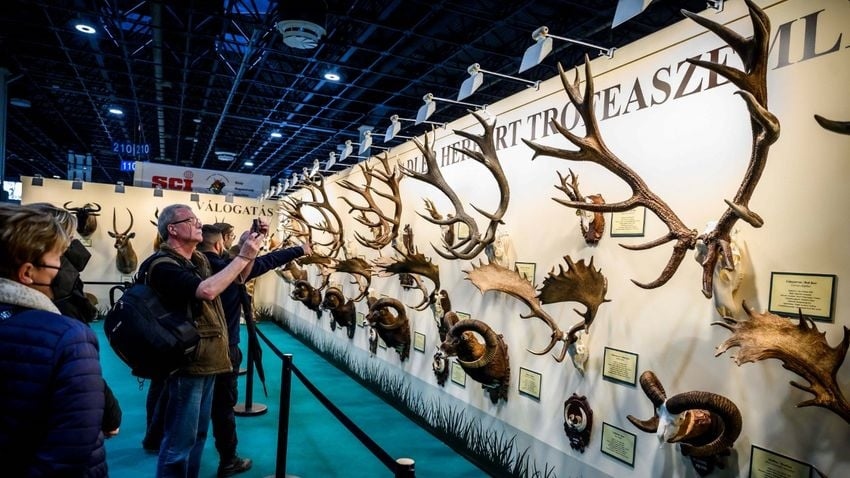 Megalakult az Országos Vadgazdálkodási Tanács