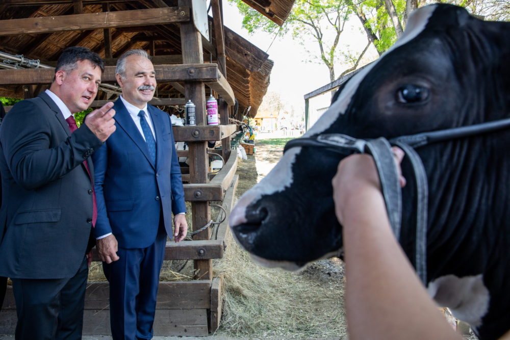 Nagy István: Az állattartók számíthatnak a magyar kormányra
