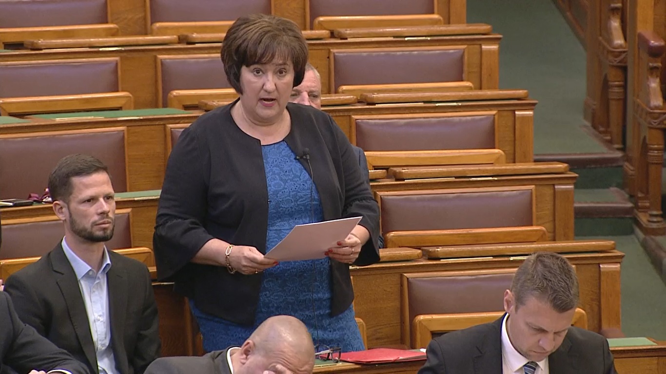 Gurmai Zita: a háború nagy ügy