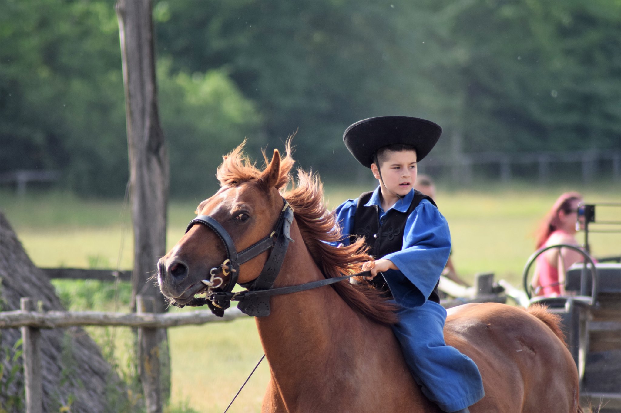 Három távon is magyar győzelem a solti távlovas versenyen