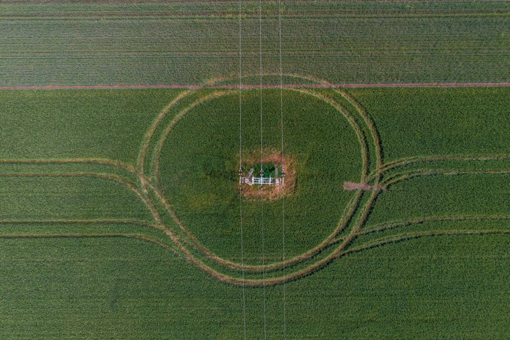 Továbbra is nő az agrártermékek kivitele