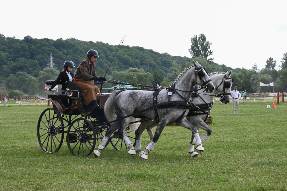 A lósport támogatása is része a nemzetpolitika eszköztárának