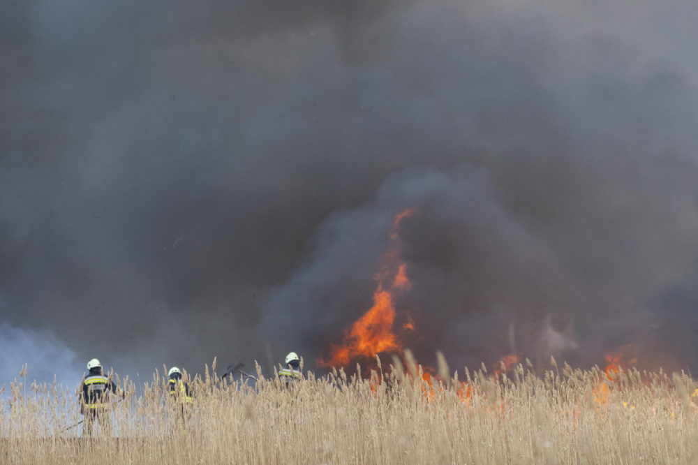 Katasztrófavédelem: a meleg miatt több a mezőgazdaságot érintő tűz