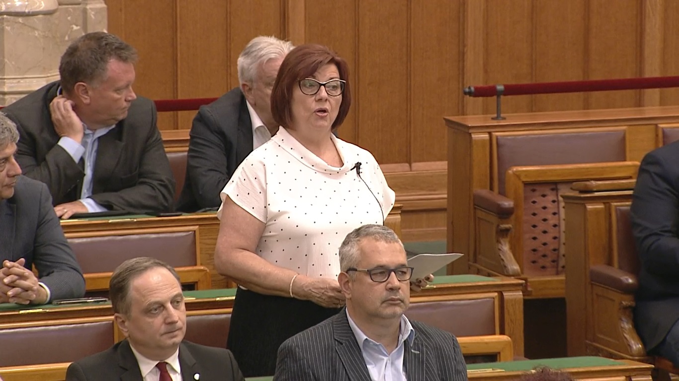 Gy. Németh Erzsébet az európai minimálbérről szónokolt