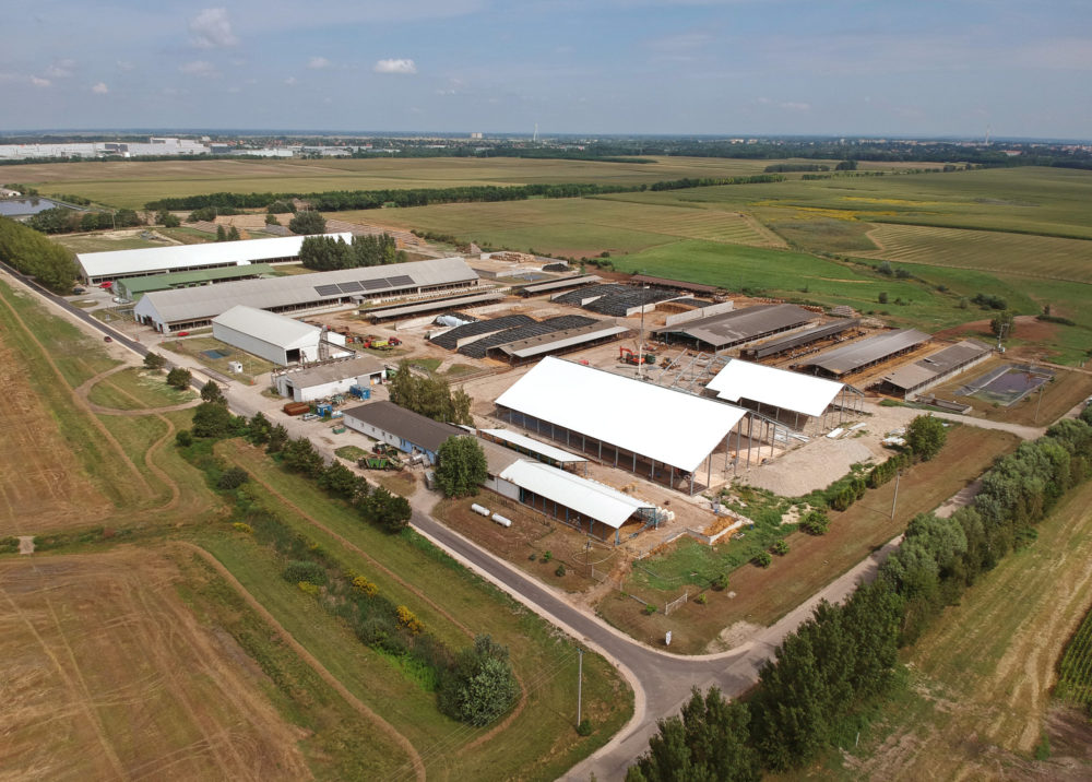 Új, rendkívüli támogatást igényelhetnek a baromfi- és kocatartók