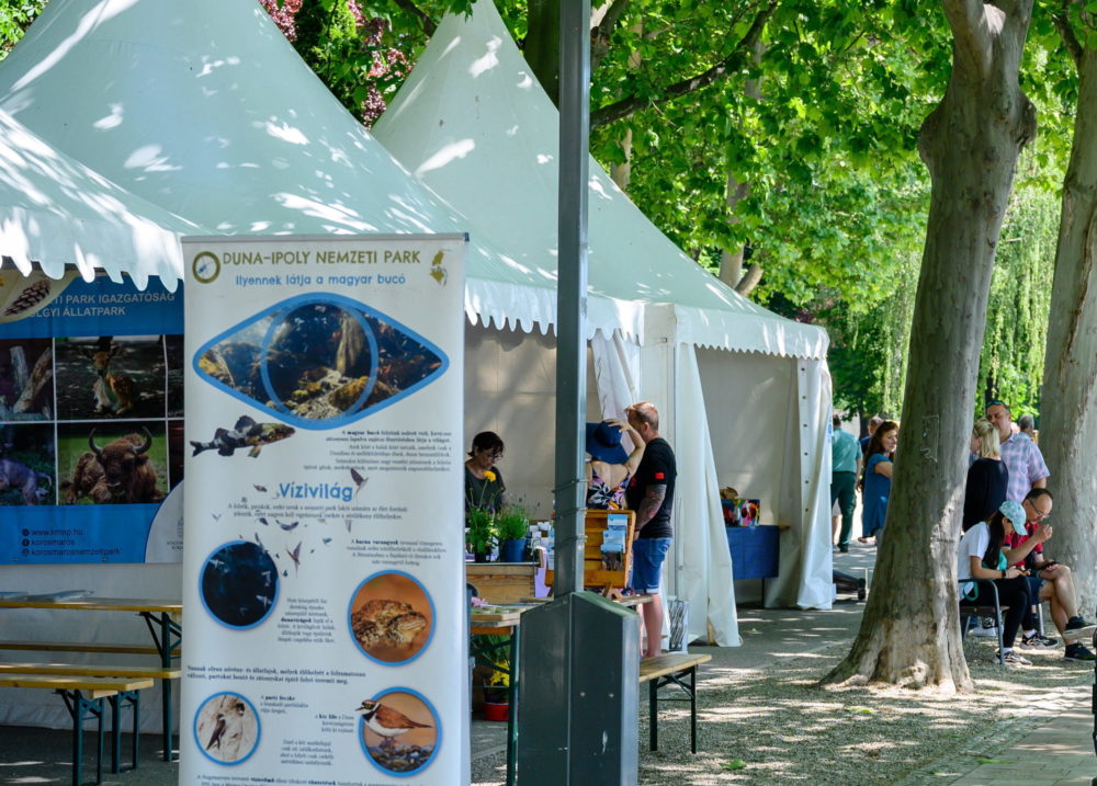 Több mint 200 programot kínál évente a Duna-Ipoly Nemzeti Park