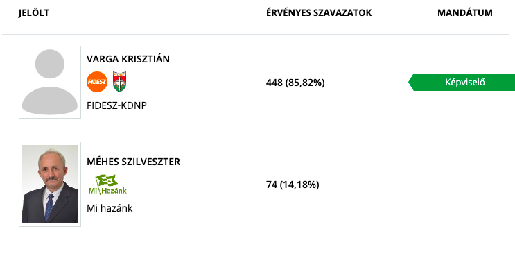 A fideszes jelöltek nyertek Esztergomban és Szentendrén is