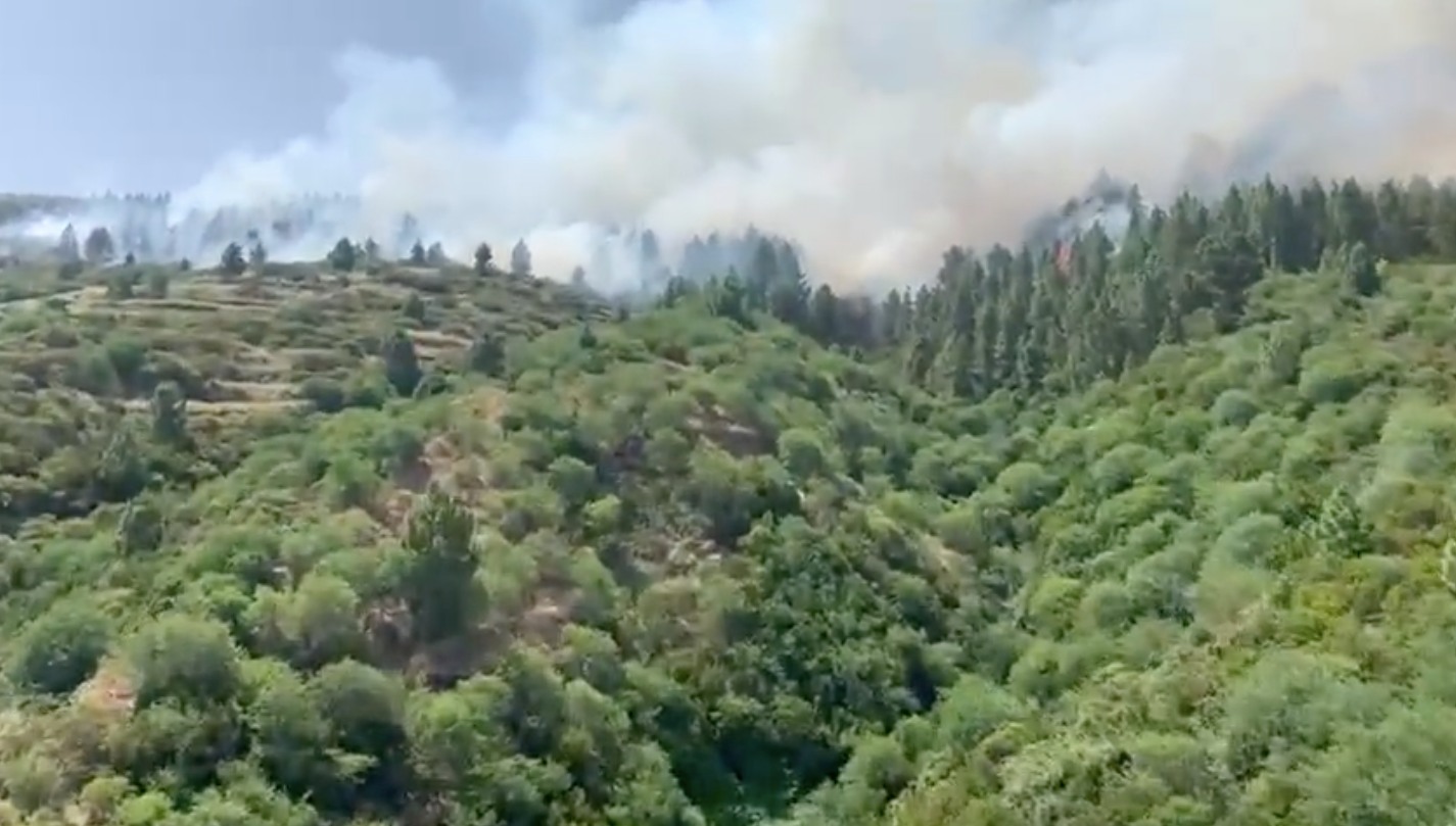 Emberek százait kellett kimenekíteni erdőtűz miatt Tenerifén