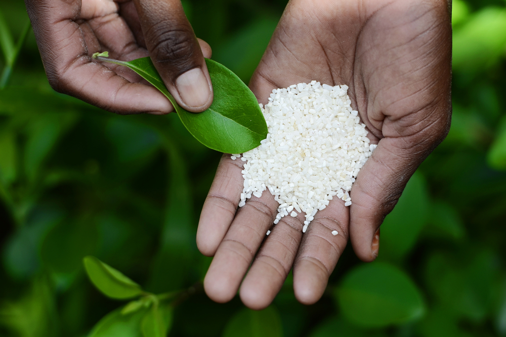 Vöröskereszt: 346 millió afrikainak nincs elegendő élelme