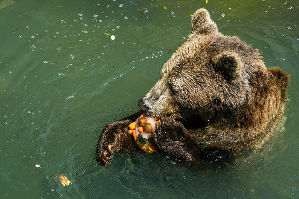Hőség Olaszországban