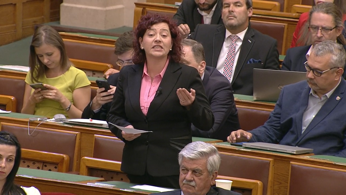 Vadai így riogat: A nyugdíjasok a saját lakásukban fognak megfagyni!