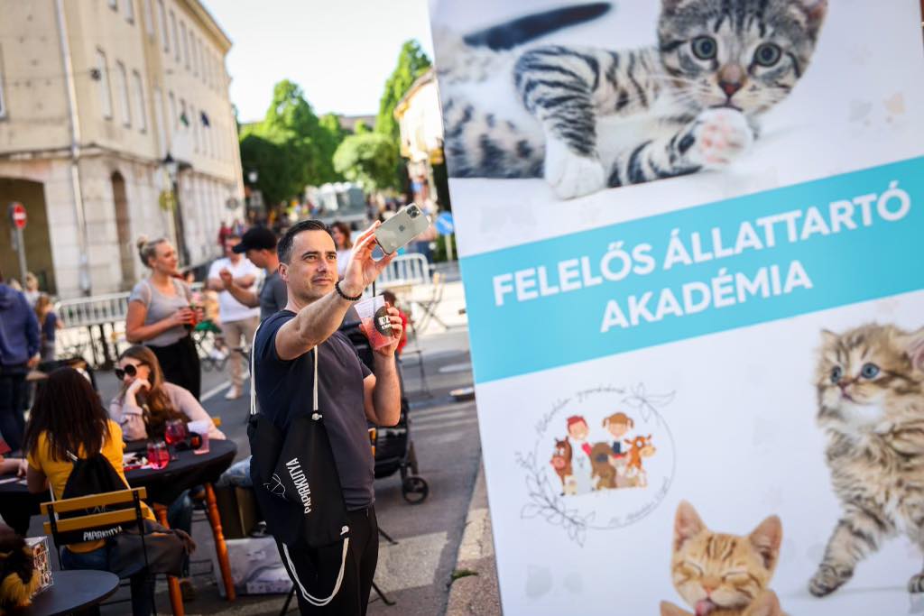 Börtönbe az állatkínzókkal!