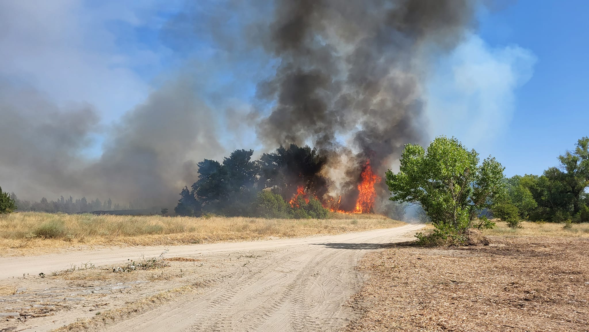 Sikerült eloltani a Táborfalva térségében napok óta pusztító tüzet