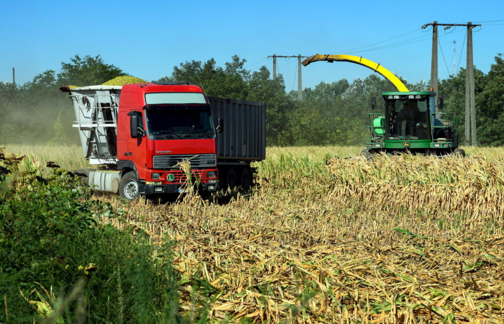 A megbecsült agrárium képes a minőségi termékek előállítására