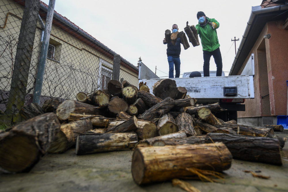 Továbbra is fenntartható módon zajlik a tűzifa kitermelése