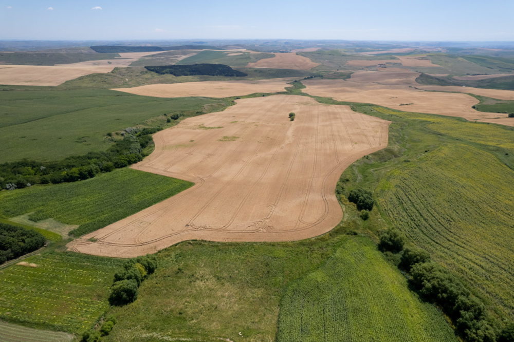 Megpróbálta átverni a gazdákat a bukott szocialista politikus
