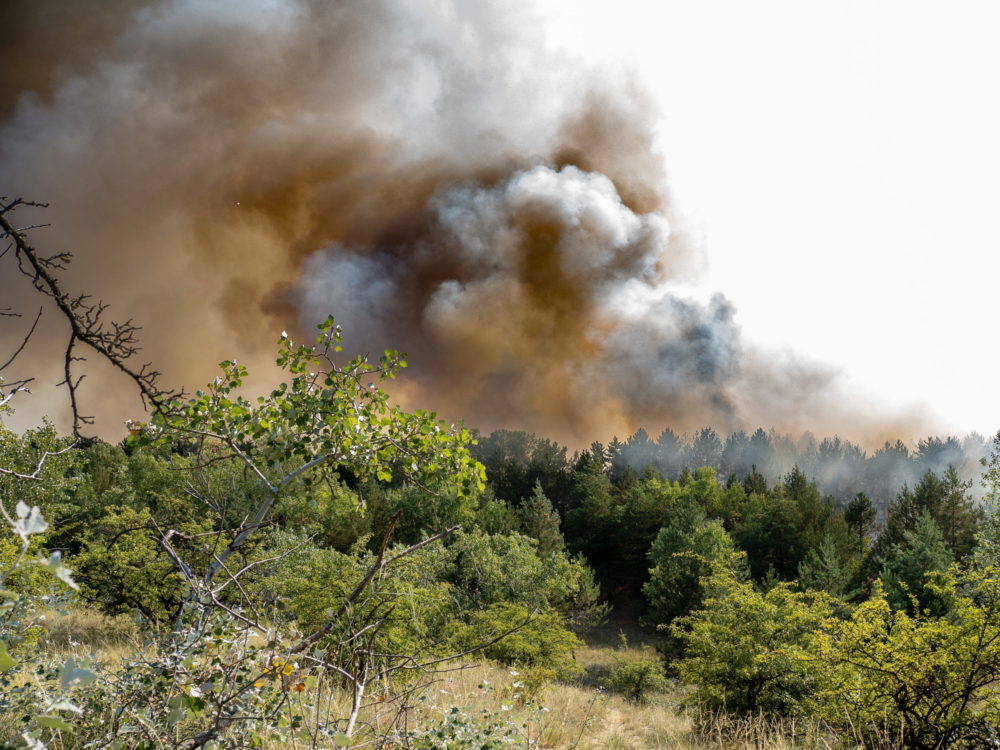 Tűzoltásban segítenek a katonák az ország több pontján