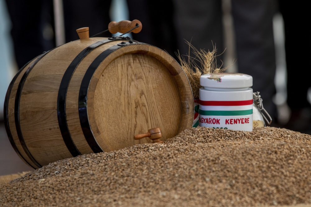 A Mészáros Csoport 13 tonna búzával járul hozzá a Magyarok Kenyere programhoz