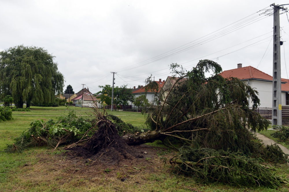 Több megyében dolgoznak viharkárok felszámolásán a tűzoltók