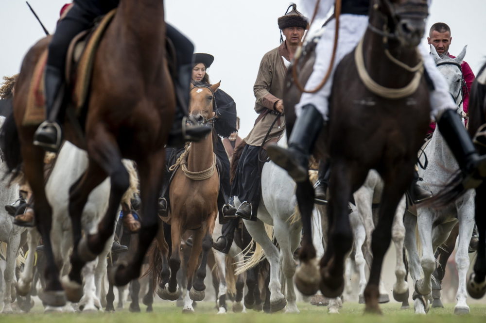 Magyar Törzsi Gyűlés Bugacon