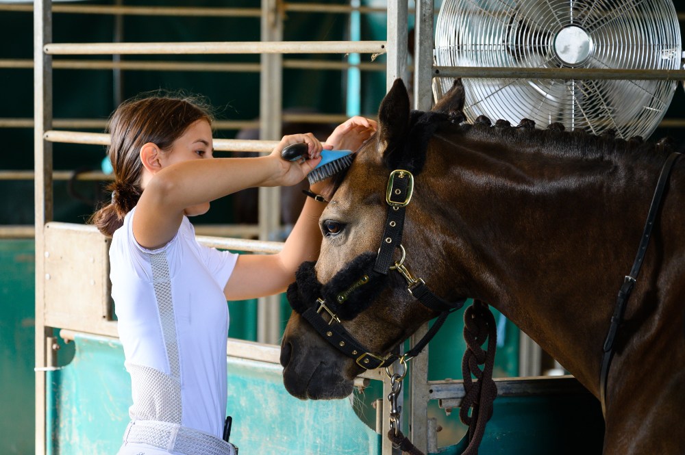 Véget ért a Magyar Póni Klub Szövetség országos bajnoksága