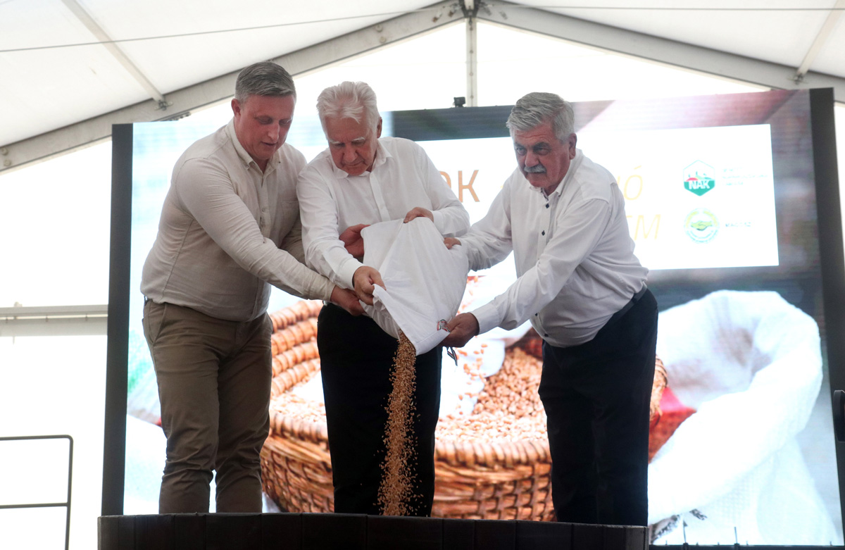 Búzaösszeöntő ünnepet tartottak