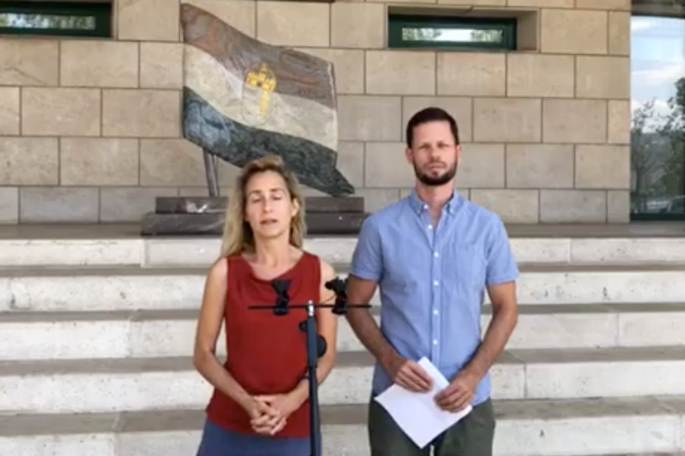 Zöld energiaforradalmat hirdet a nullaszázalékos Párbeszéd