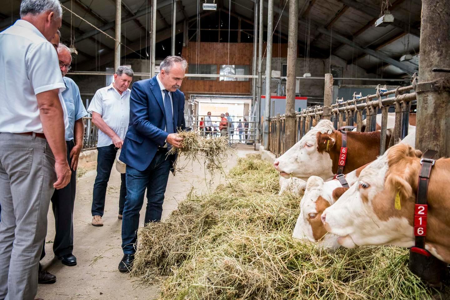 Elkészültek a takarmányszállítási támogatás részletei