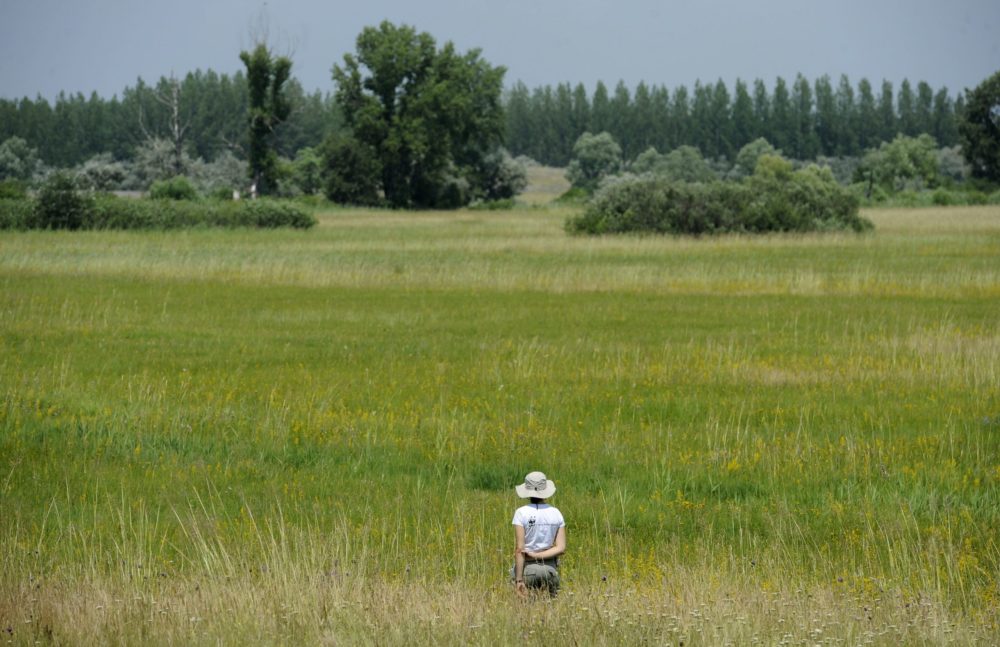 Rákosi vipera napot rendeznek szombaton a Szegedi Vadasparkban