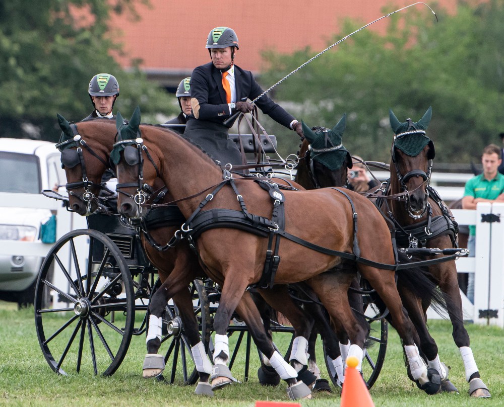Kialakult a magyar válogatott tagjainak névsora