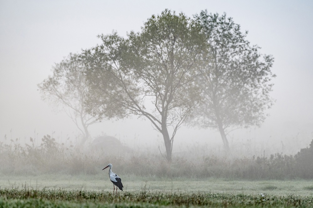 Köd Bátonyterenyénél