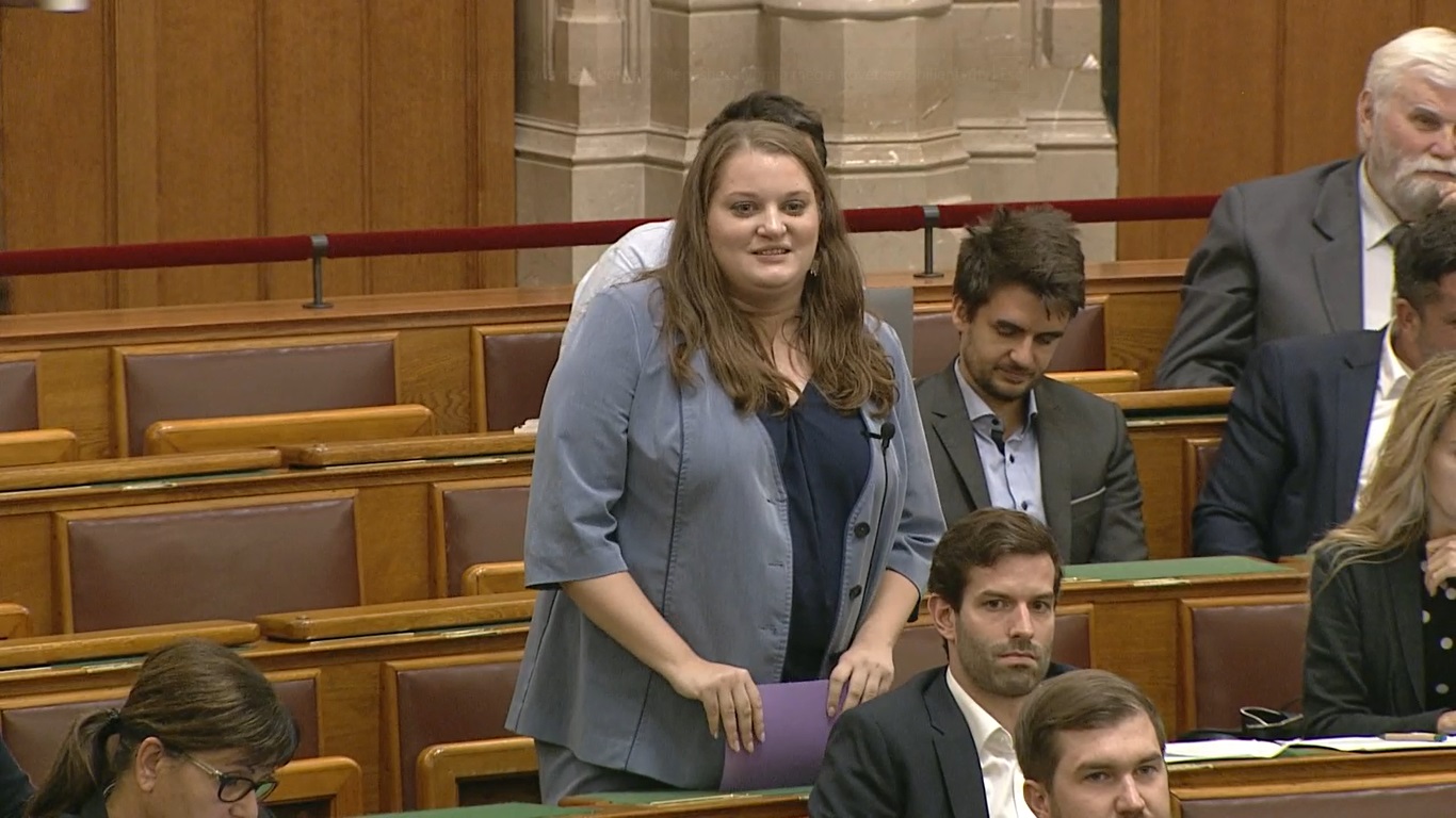 A momentumos Sebők Éva szellemeskedni próbált, de pofára esett