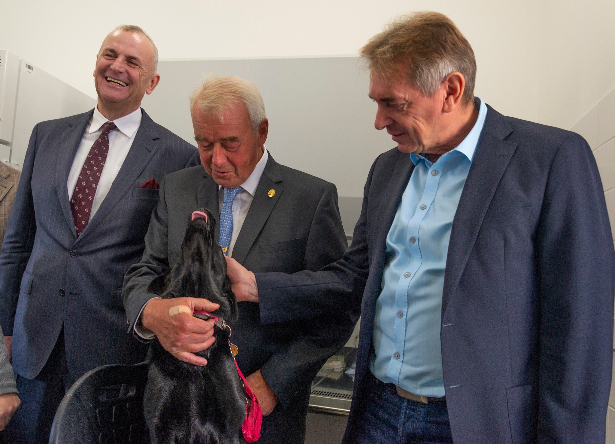 Széchenyi Alapok: nagyszabású együttműködés a rákkutatásban